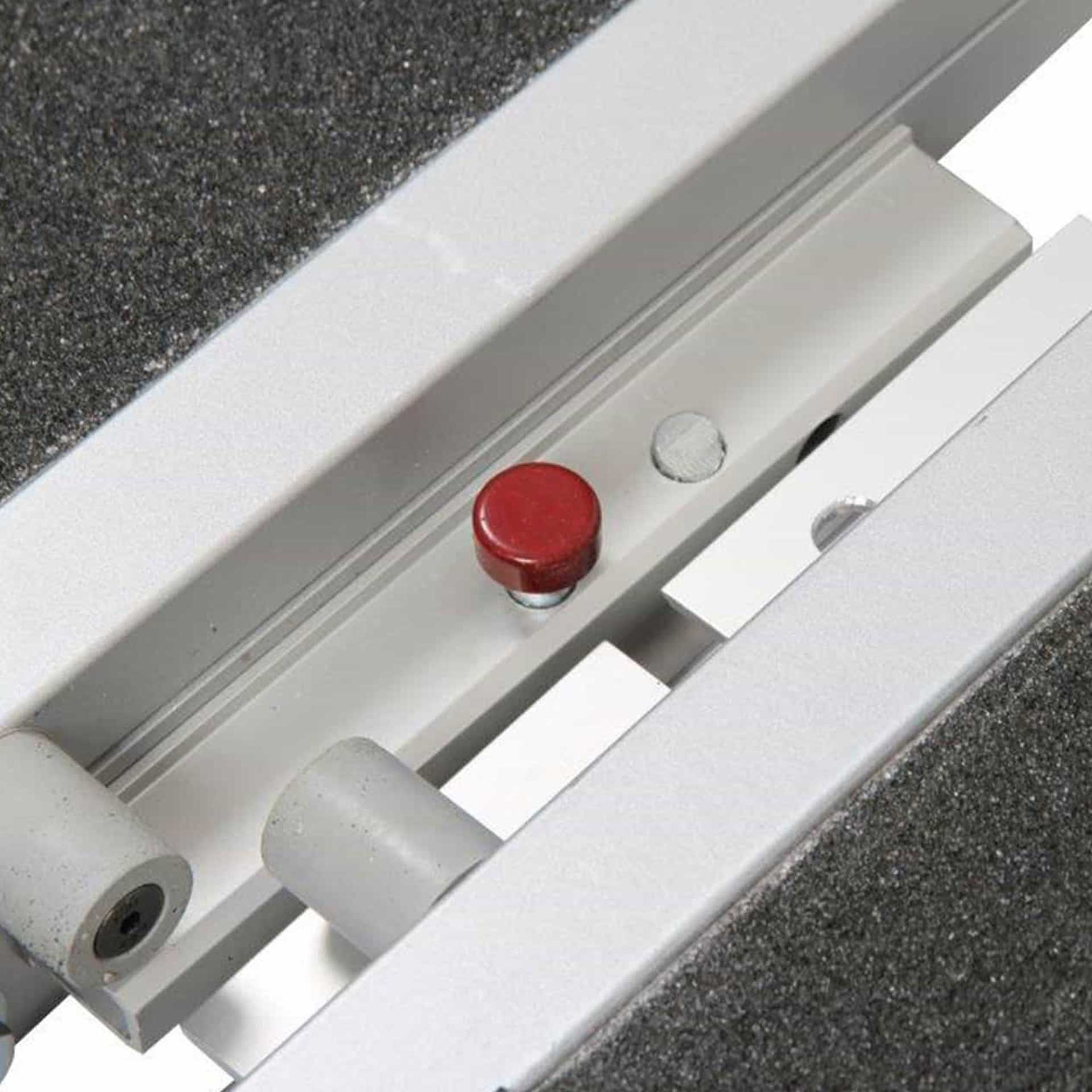 Mobile Rampe für Rollstühle mit Tragegriff, leicht zu transportieren, Serie DFM von AlphaDynamik Mobile Rampe für Rollstühle mit Tragegriff, leicht zu transportieren, Serie DFM von AlphaDynamik